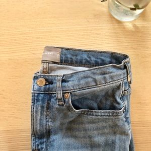 Everlane High-Rise Skinny Jean (Regular)